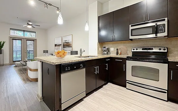 $1,760 | 206 McGowen Street, Unit 3108, Houston, TX 77006