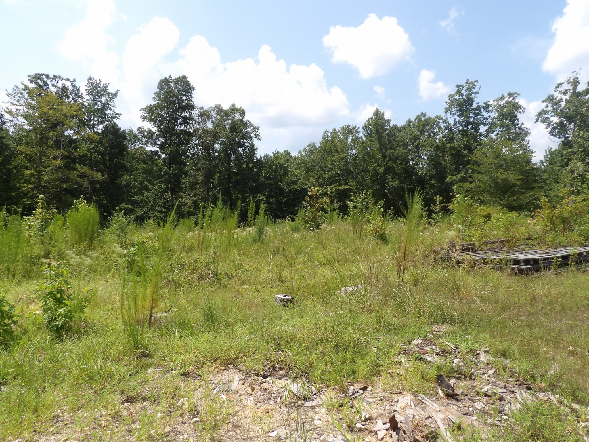 0 Old Union Church Road Holladay, TN 38341 - Photo 12 of 22 Gallery Image 12