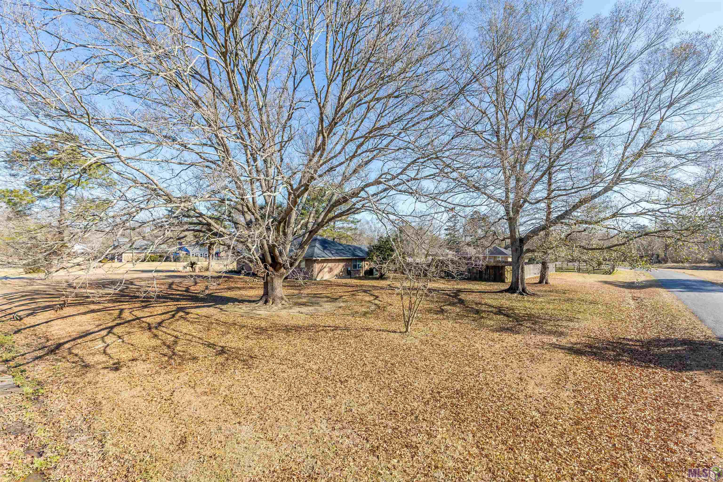 17386 Wirth Place Prairieville, LA 70769 - Photo 52 of 55