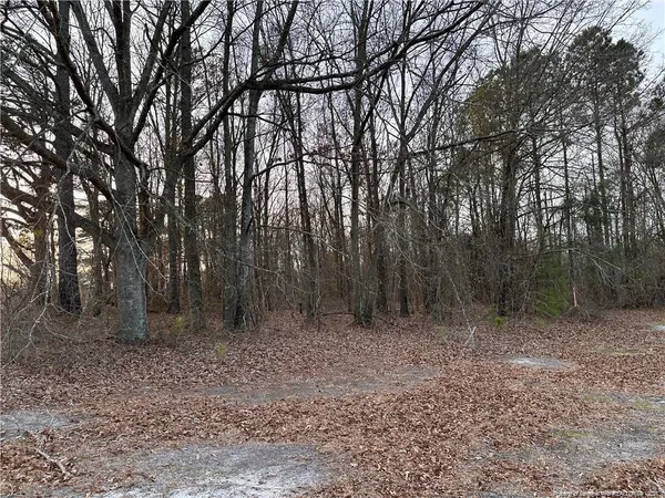 $35,000 | Lot 2 Midway Road, Rowland, NC 28383
