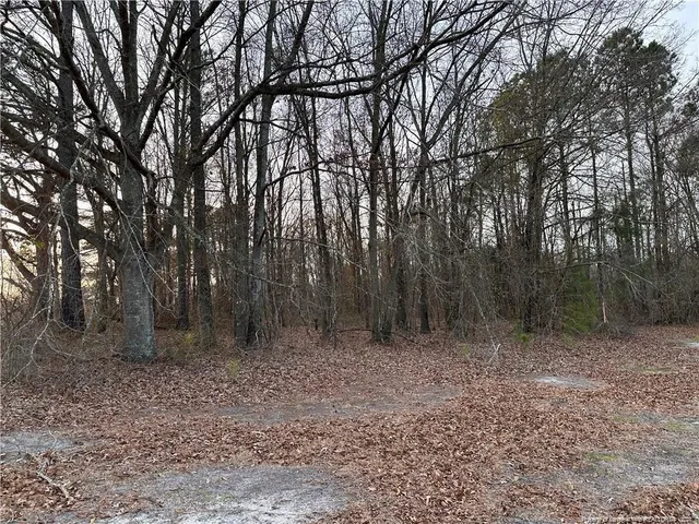 $35,000 | Lot 2 Midway Road, Rowland, NC 28383