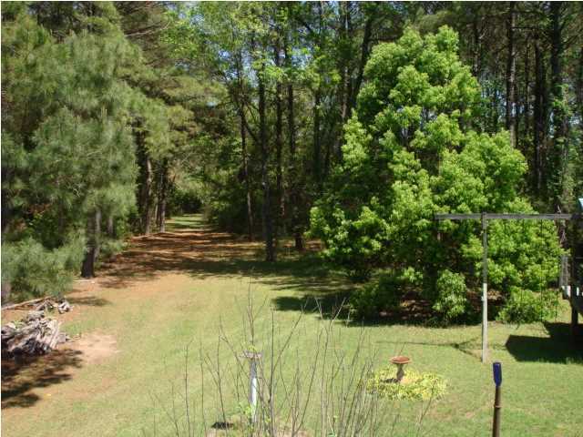 8471 Chisolm Plantation Road Edisto Island, SC 29438 - Photo 16 of 19 Additional Photo