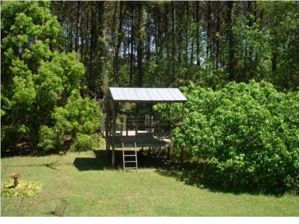 8471 Chisolm Plantation Road Edisto Island, SC 29438 - Photo 3 of 19 Additional Photo