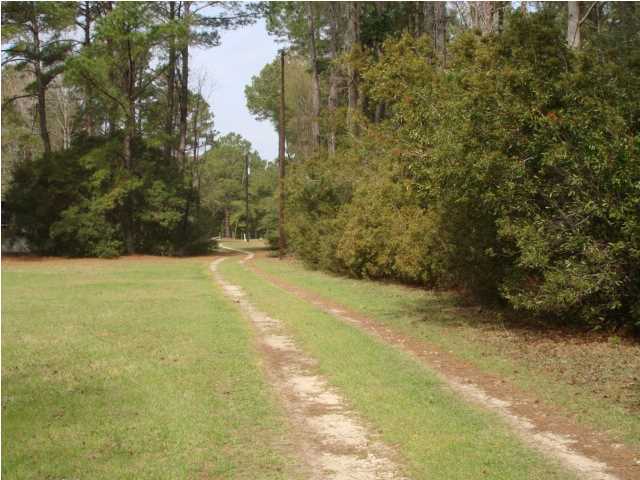 8471 Chisolm Plantation Road Edisto Island, SC 29438 - Photo 5 of 19 Additional Photo