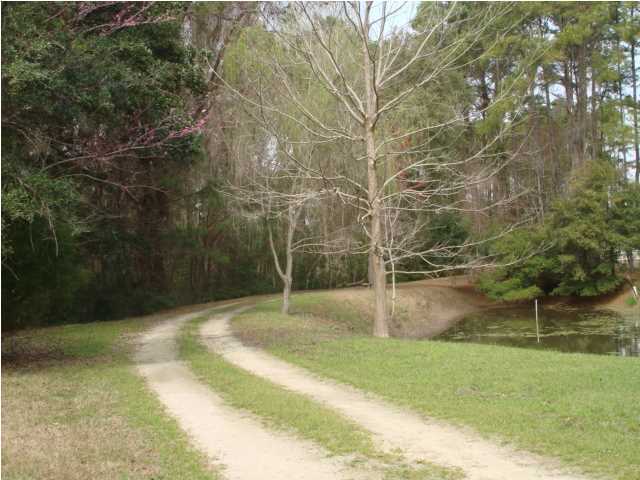 8471 Chisolm Plantation Road Edisto Island, SC 29438 - Photo 6 of 19 Additional Photo