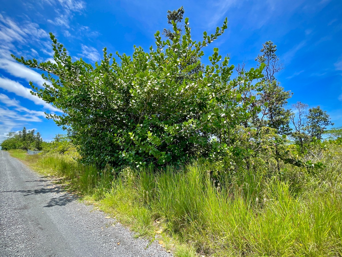 3077 Beach Road Keaau, HI 96749 - Photo 16 of 20 Gallery Image 16