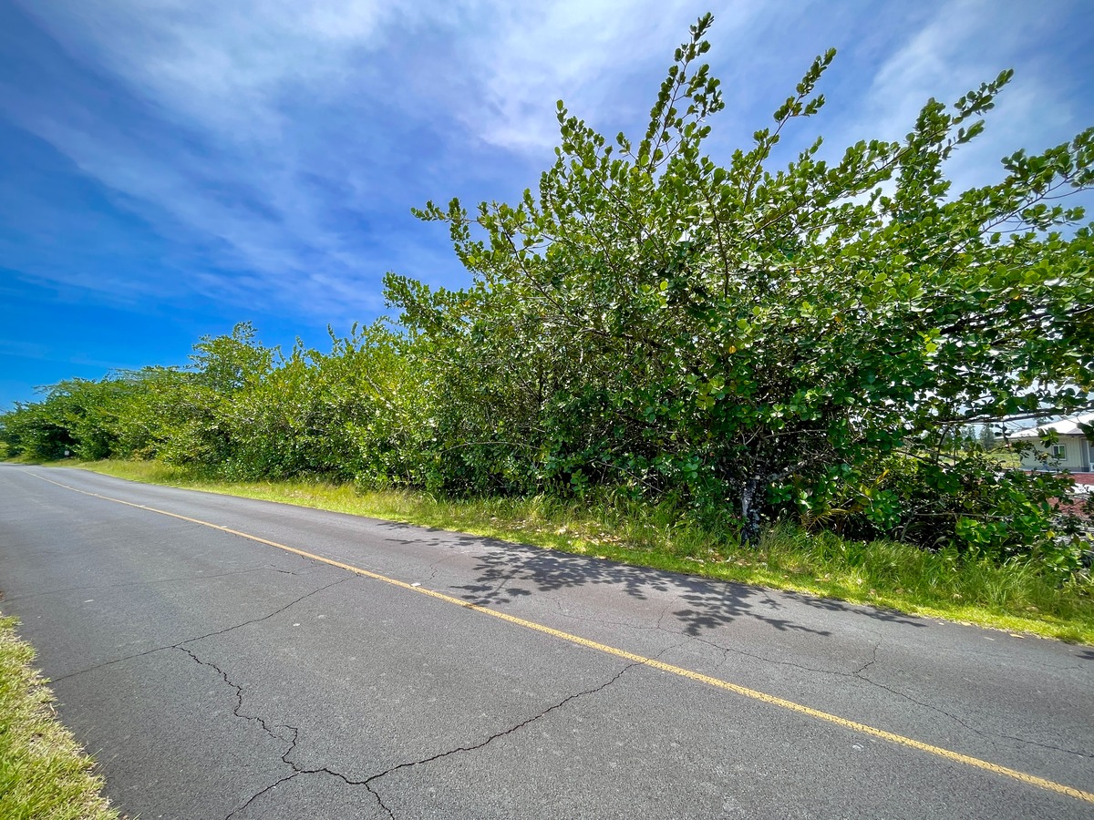 3077 Beach Road Keaau, HI 96749 - Photo 4 of 20 Gallery Image 4