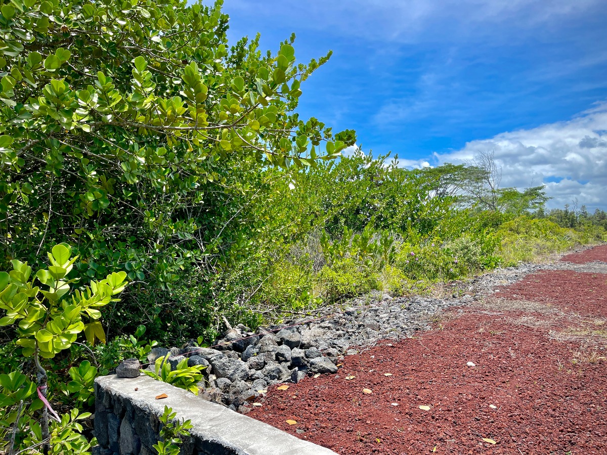 3077 Beach Road Keaau, HI 96749 - Photo 8 of 20 Gallery Image 8