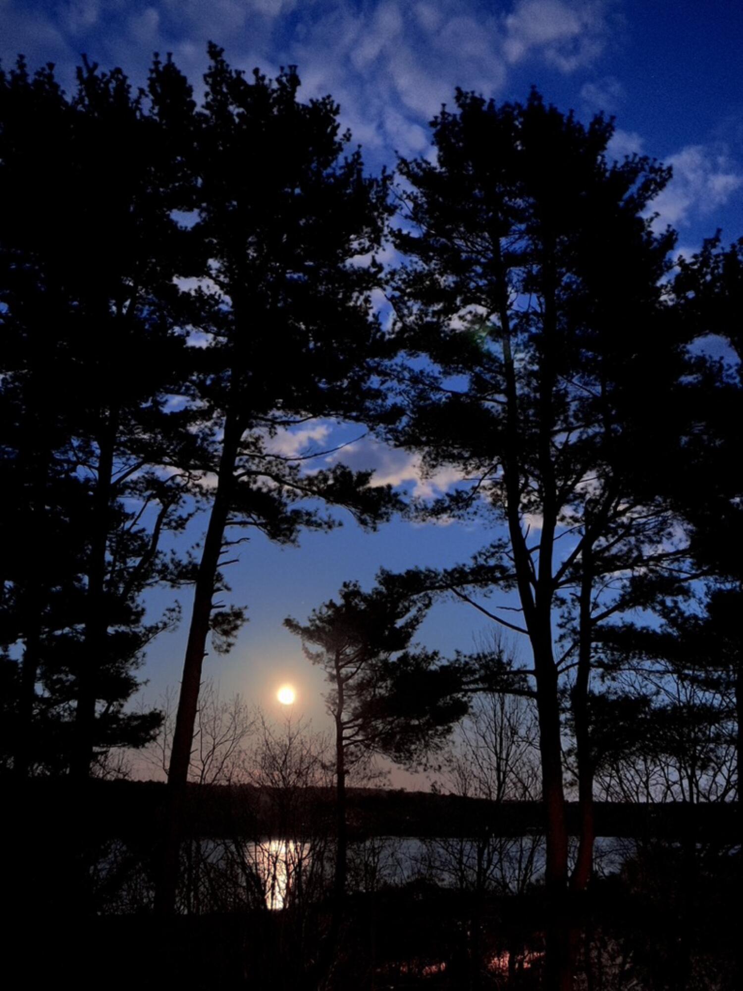 4 Schooner Ridge Road, Unit 8 Bath, ME 04530 - Photo 55 of 65 OUTSIDE Moon Rising RESIZED
