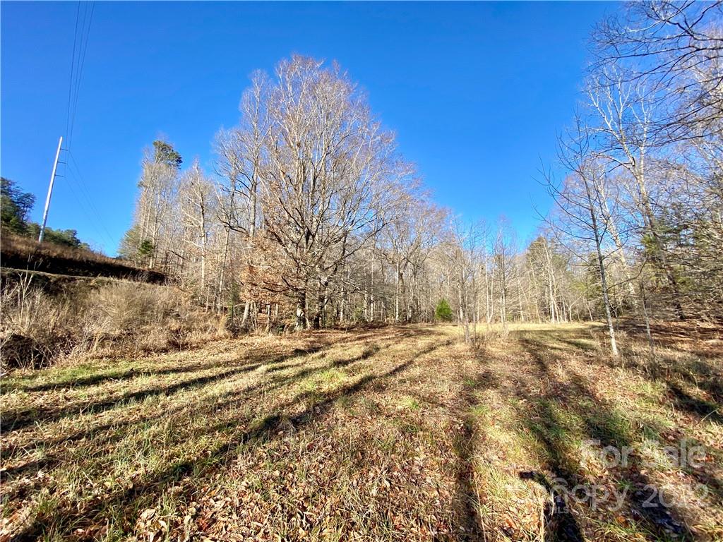 202 Morgan Ford Road Olin, NC 28660 - Photo 13 of 36 Gallery Image 13