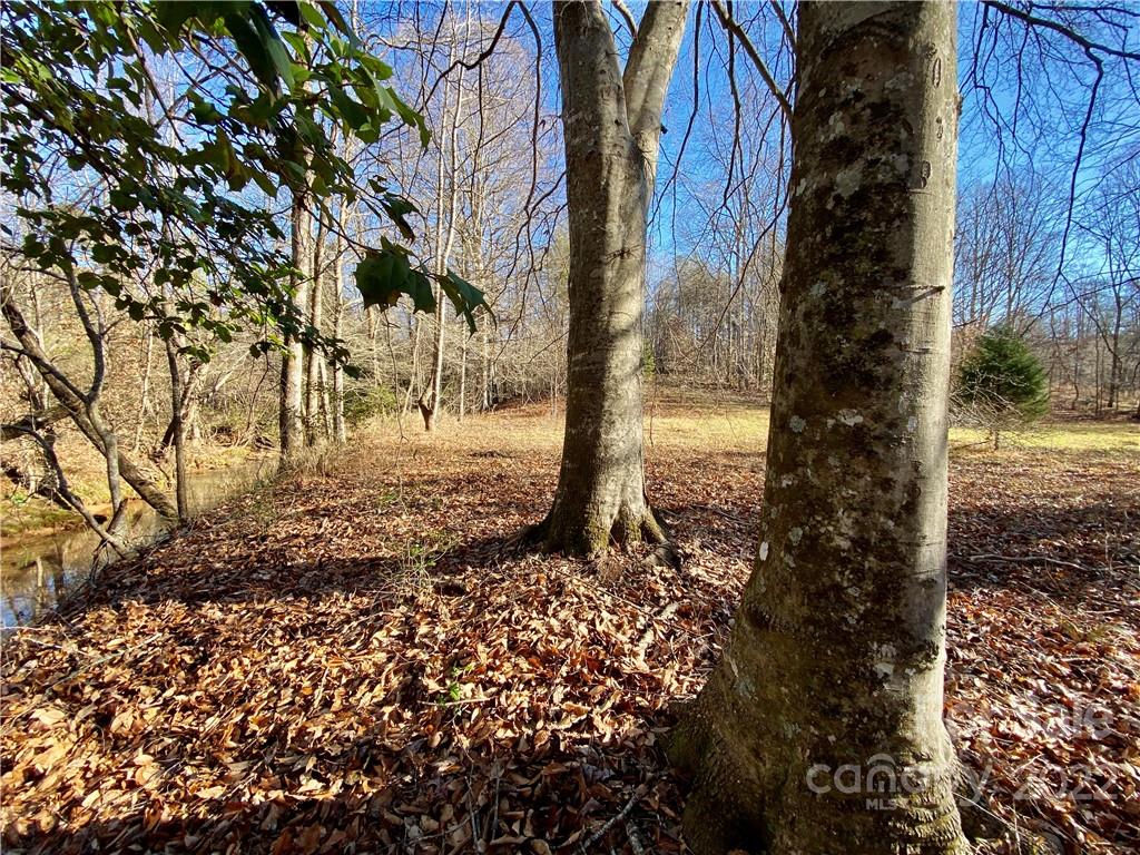202 Morgan Ford Road Olin, NC 28660 - Photo 3 of 36 Gallery Image 3