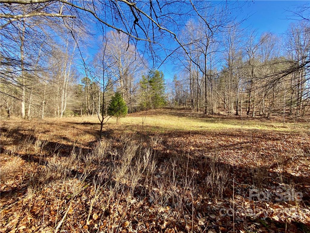 202 Morgan Ford Road Olin, NC 28660 - Photo 5 of 36 Gallery Image 5