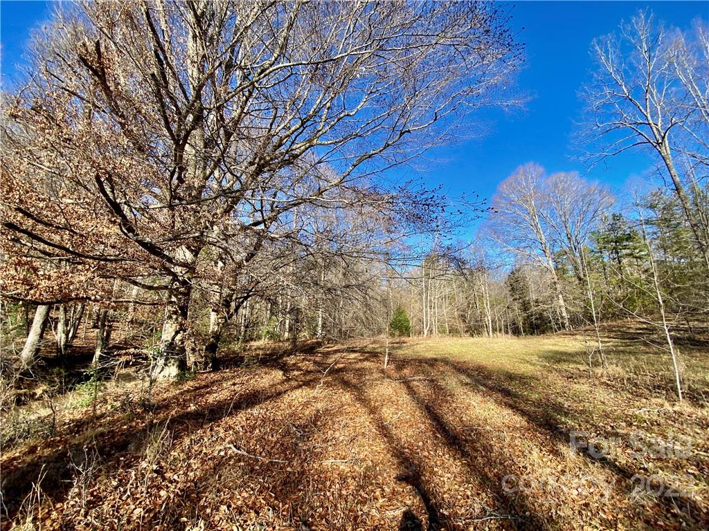 202 Morgan Ford Road Olin, NC 28660 - Photo 9 of 36 Gallery Image 9