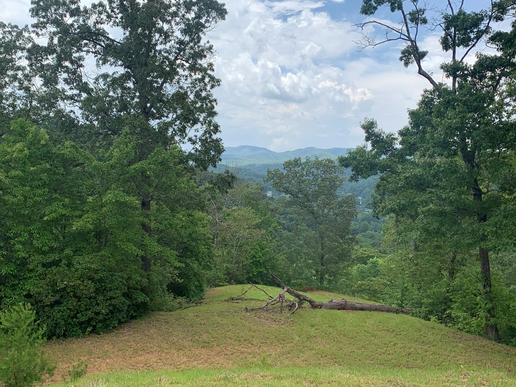 44-45 Silo Vw Road Marble, NC 28905 - Photo 2 of 7
