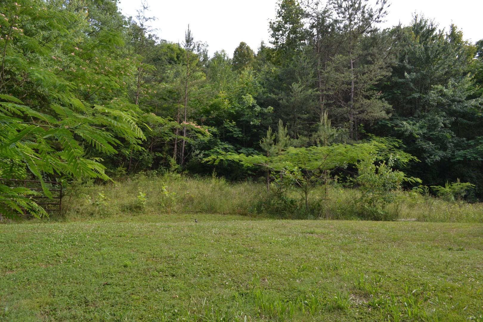 8849 West Simpson Road Knoxville, TN 37920 - Photo 14 of 18 Lot 2 W Simpson (10)