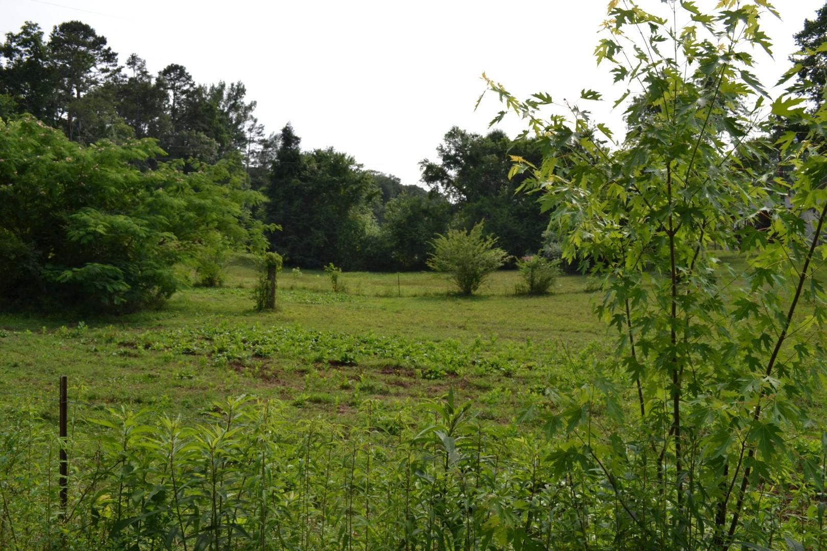 8849 West Simpson Road Knoxville, TN 37920 - Photo 5 of 18 Lot 2 W Simpson (1)