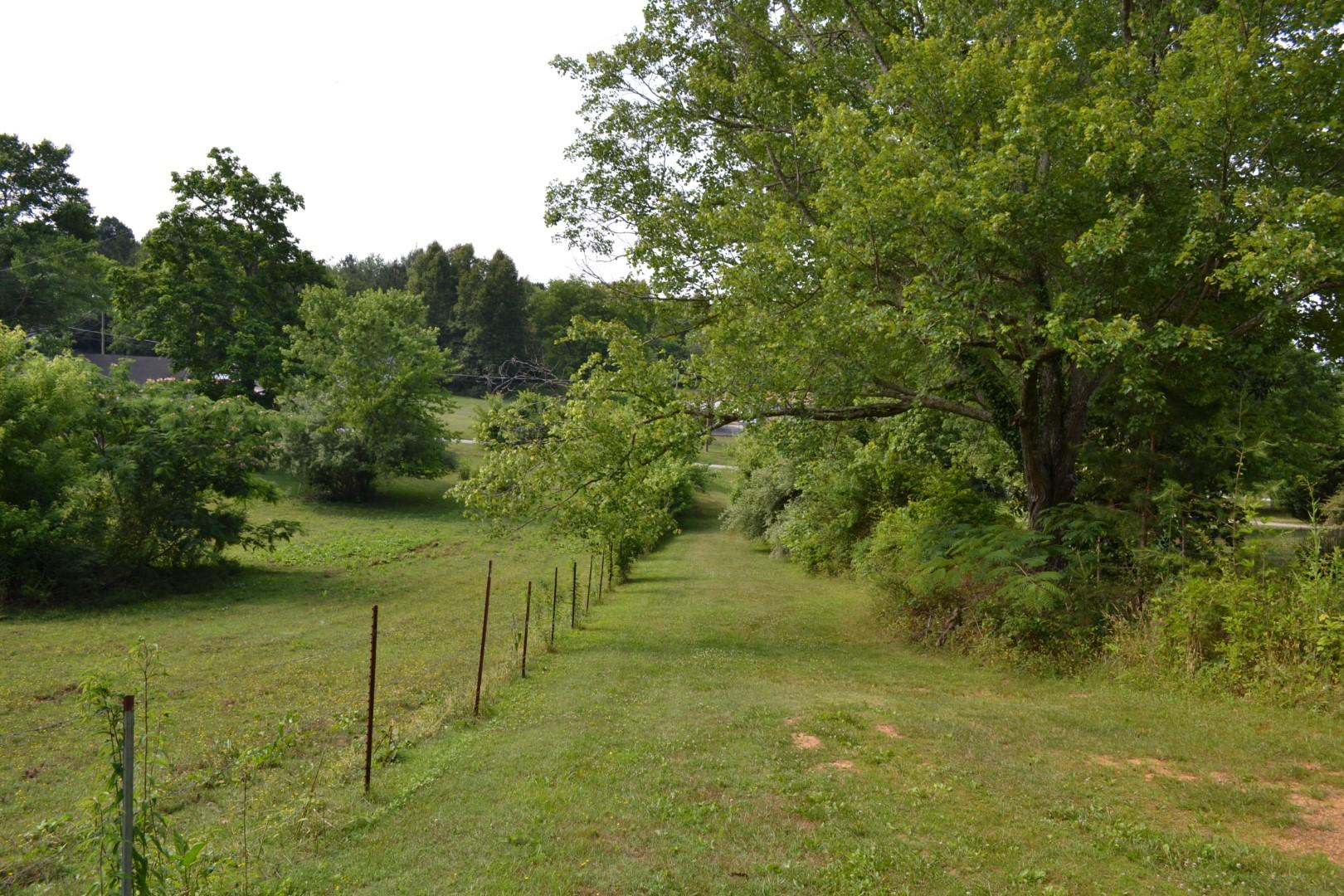 8849 West Simpson Road Knoxville, TN 37920 - Photo 9 of 18 Lot 2 W Simpson (5)