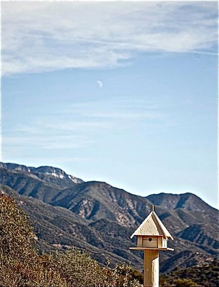 2525 Gridley Road Ojai, CA 93023 - Photo 22 of 40 Gallery Image 22