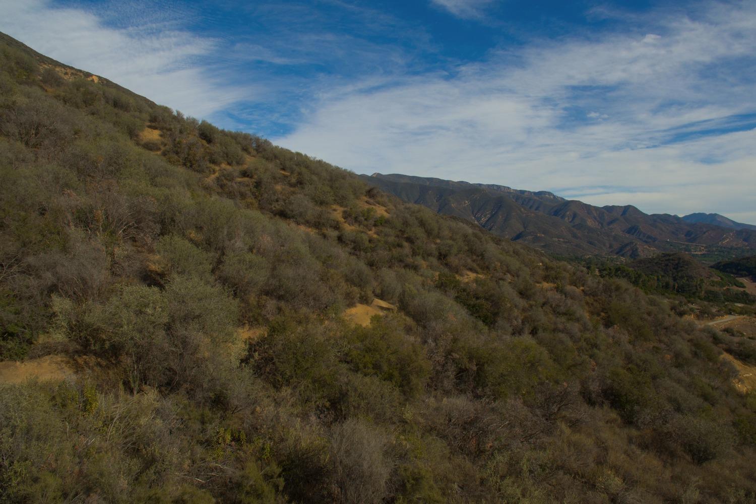 2525 Gridley Road Ojai, CA 93023 - Photo 36 of 40 Gallery Image 36