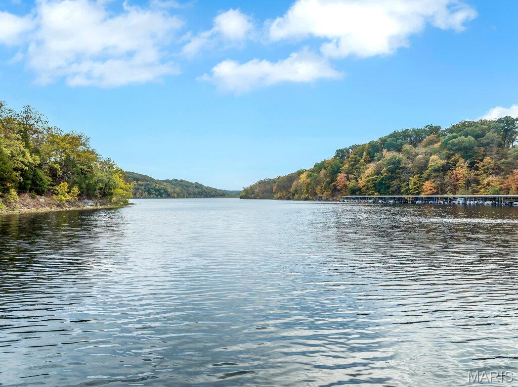 353 Callaway Ridge Drive Defiance, MO 63341 - Photo 42 of 60