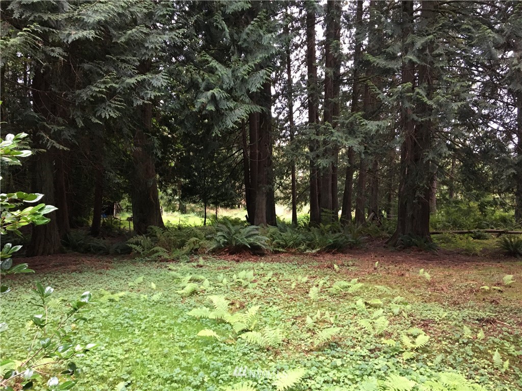 512 Newberg Road Snohomish, WA 98290 - Photo 18 of 32