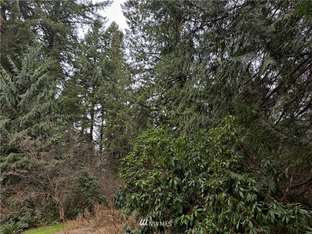 512 Newberg Road Snohomish, WA 98290 - Photo 19 of 32