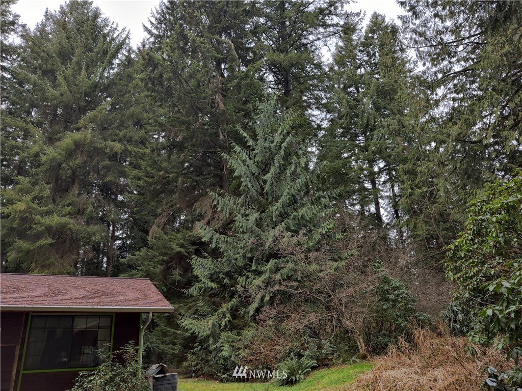512 Newberg Road Snohomish, WA 98290 - Photo 20 of 32