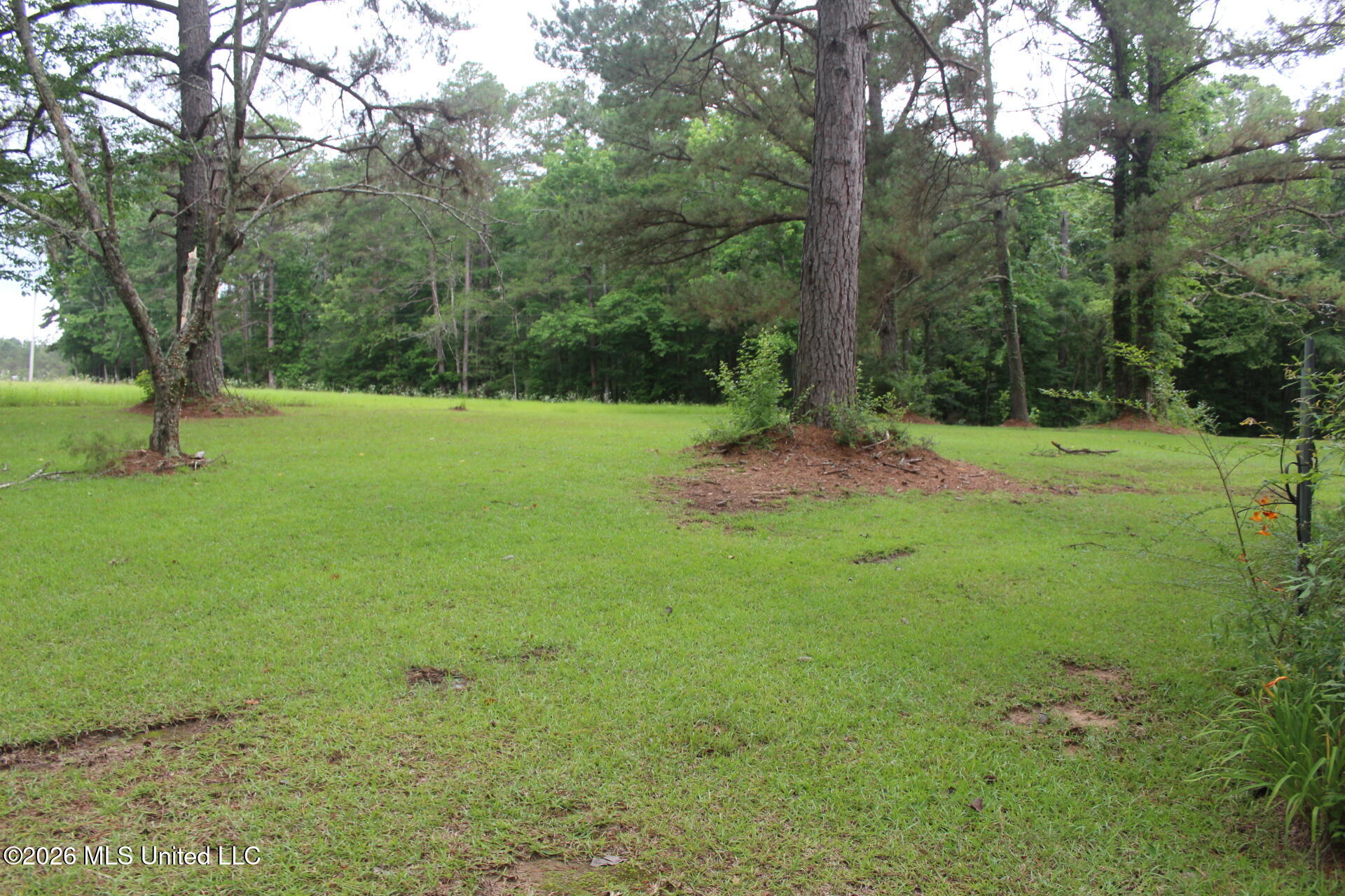 429 River Rd Drive Southeast Bogue Chitto, MS 39629 - Photo 10 of 38 IMG_9736