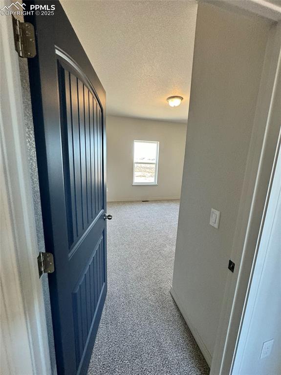 3955 Yoder Road Yoder, CO 80864 - Photo 12 of 27 Hall featuring carpet floors and a textured ceiling