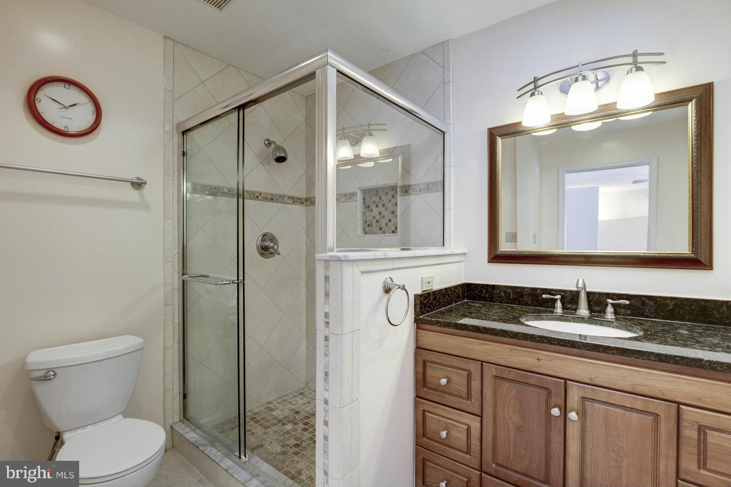 13308 Old Forge Road Silver Spring, MD 20904 - Photo 17 of 30 Wonderfully Updated MBR Bath with Skylight