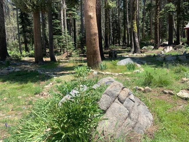 21164 Donner Pass Road Soda Springs, CA 95728 - Photo 11 of 19 Gallery Image 11