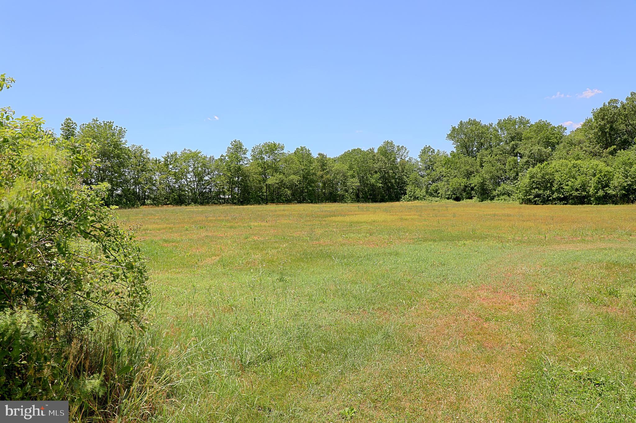 36500 Robin Hood Road Delmar, DE 19940 - Photo 13 of 62