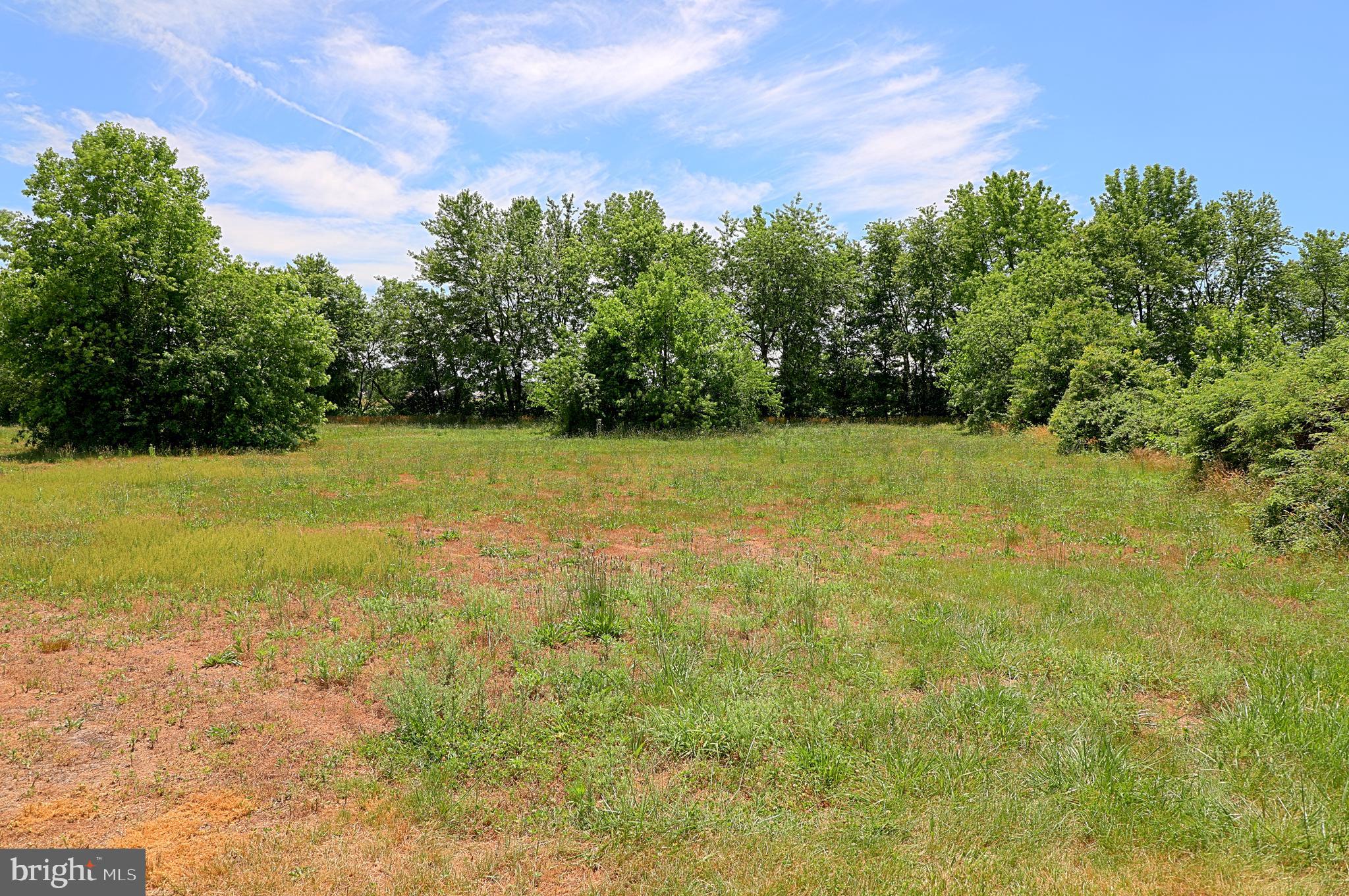 36500 Robin Hood Road Delmar, DE 19940 - Photo 23 of 62