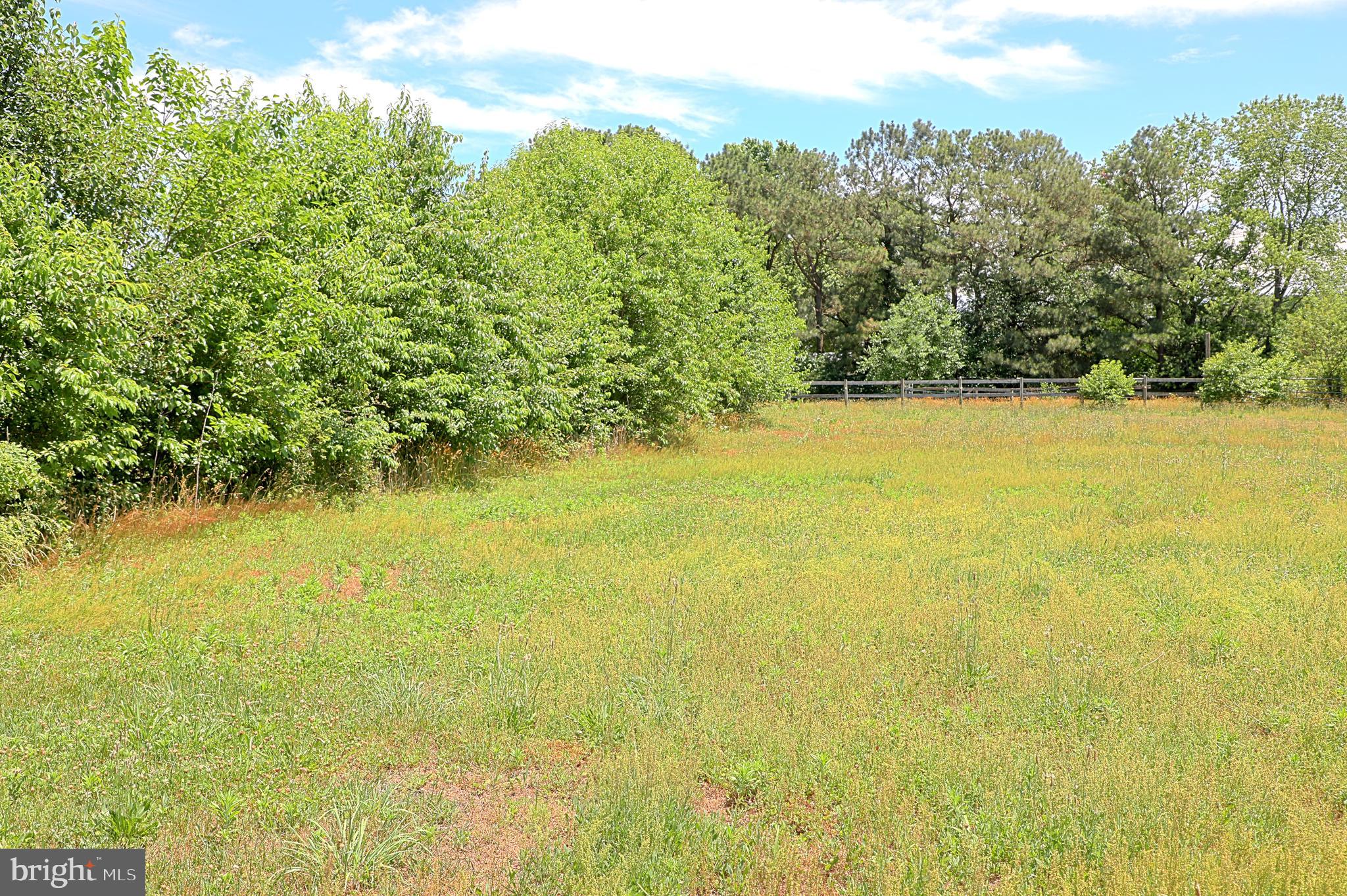 36500 Robin Hood Road Delmar, DE 19940 - Photo 24 of 62
