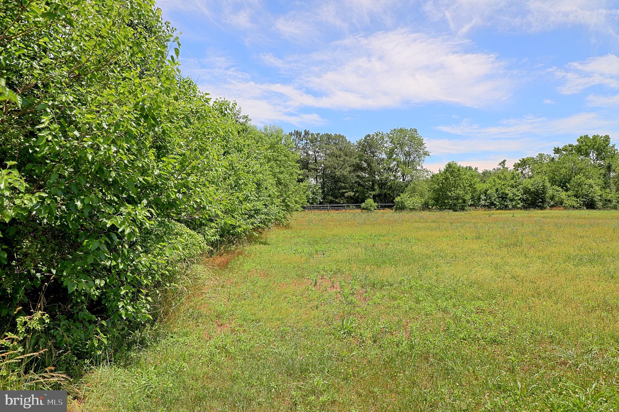 36500 Robin Hood Road Delmar, DE 19940 - Photo 25 of 62