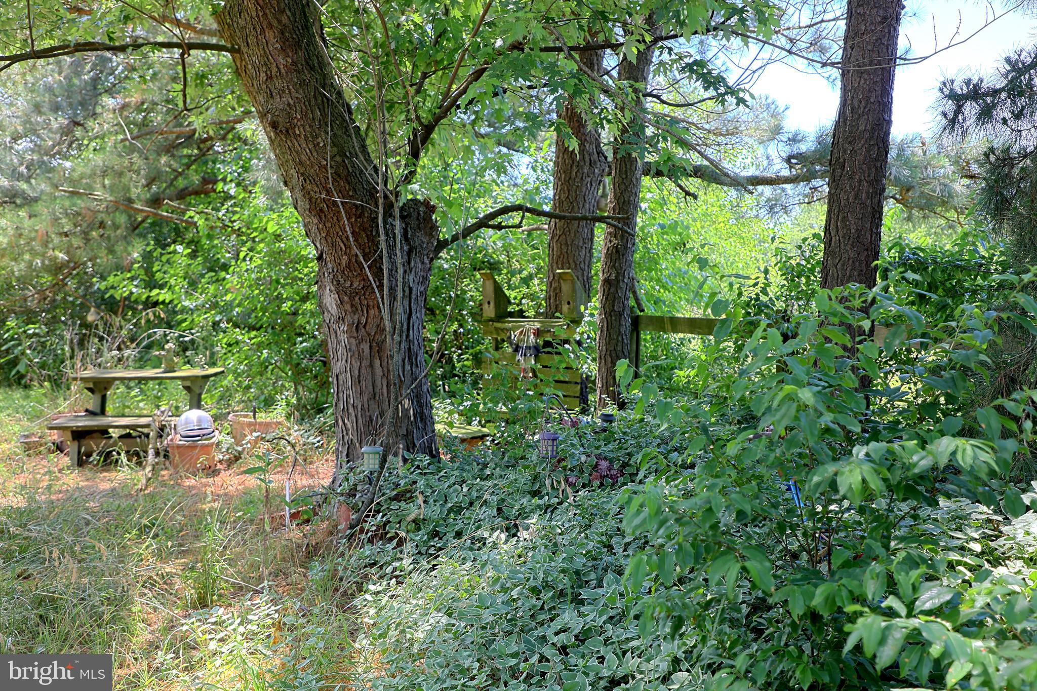 36500 Robin Hood Road Delmar, DE 19940 - Photo 41 of 62