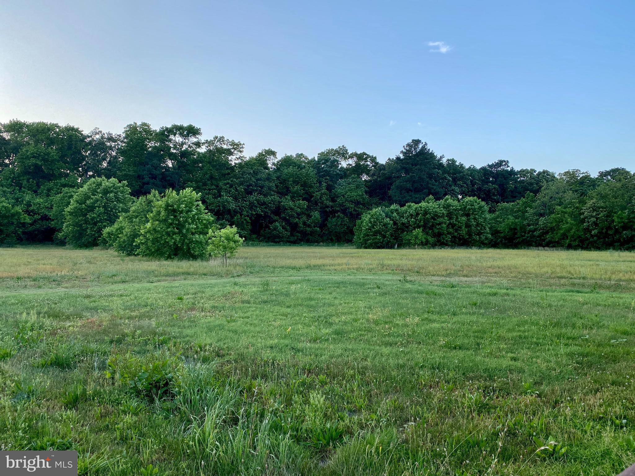 36500 Robin Hood Road Delmar, DE 19940 - Photo 10 of 62
