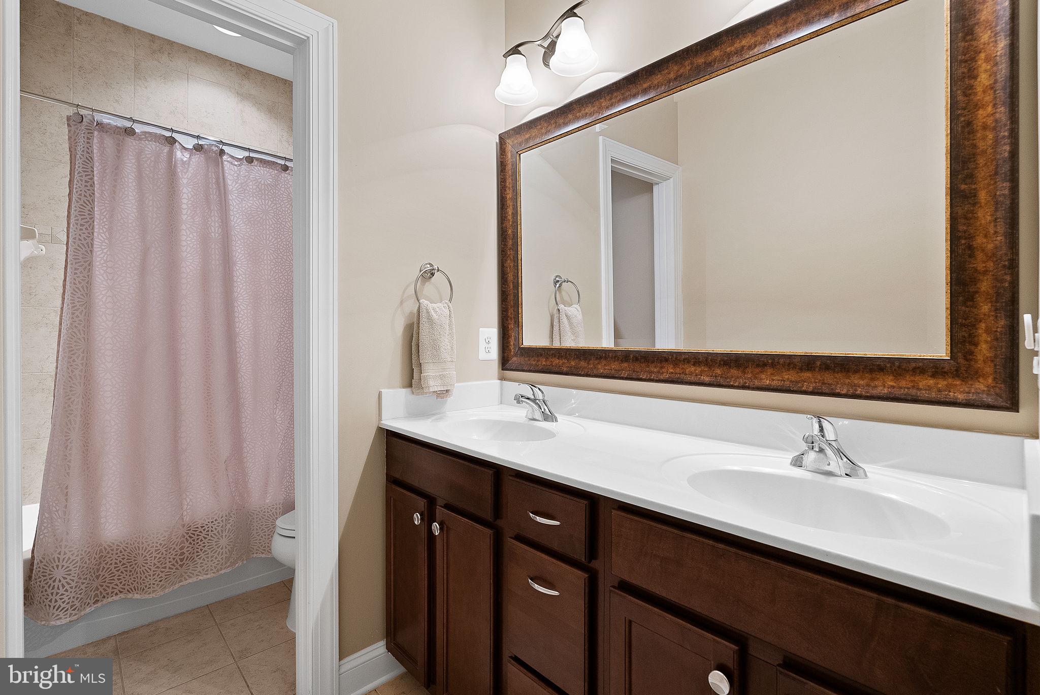 18604 Wild Raspberry Drive Purcellville, VA 20132 - Photo 18 of 44 Full hallway bathroom