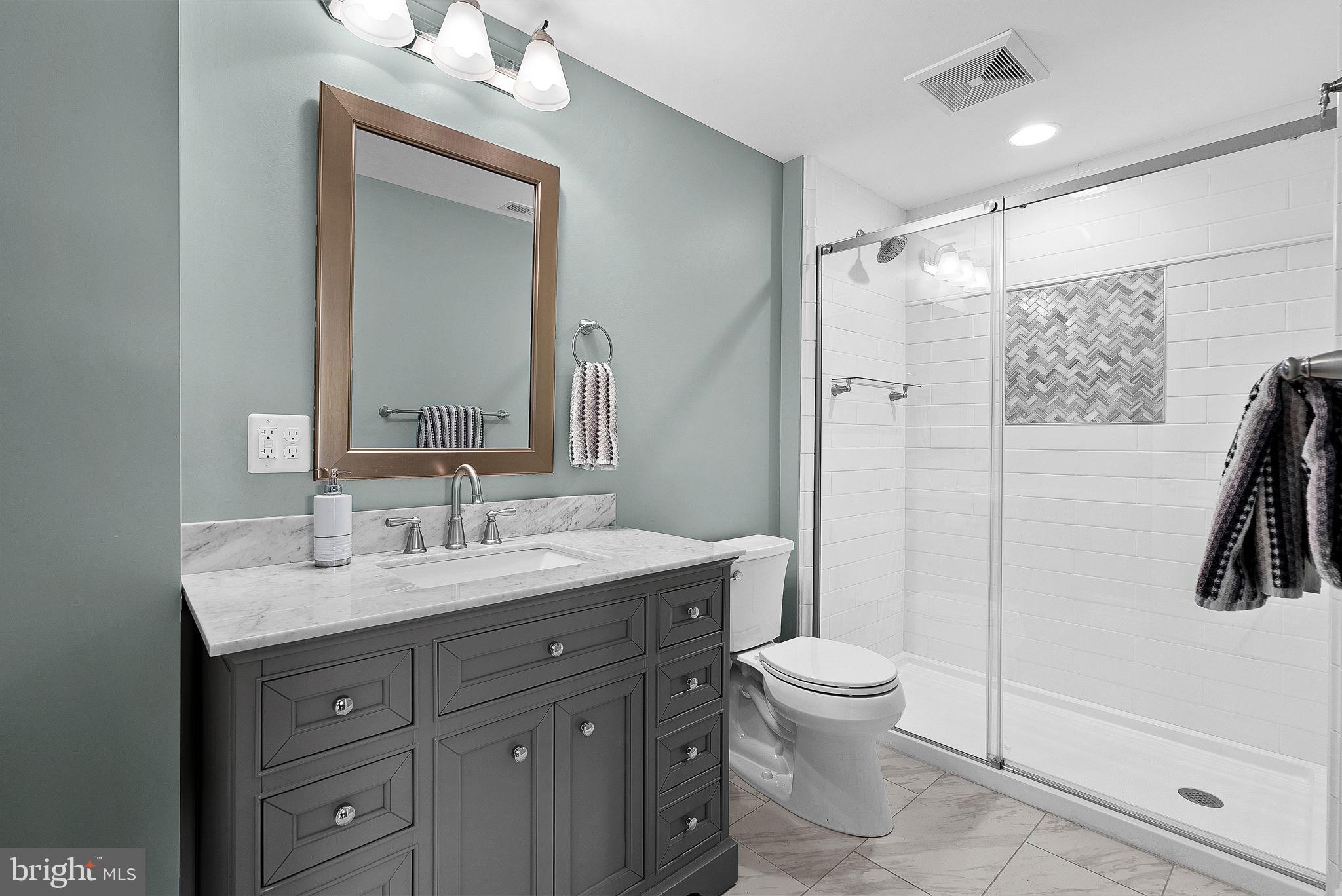 18604 Wild Raspberry Drive Purcellville, VA 20132 - Photo 24 of 44 Lower level full bathroom