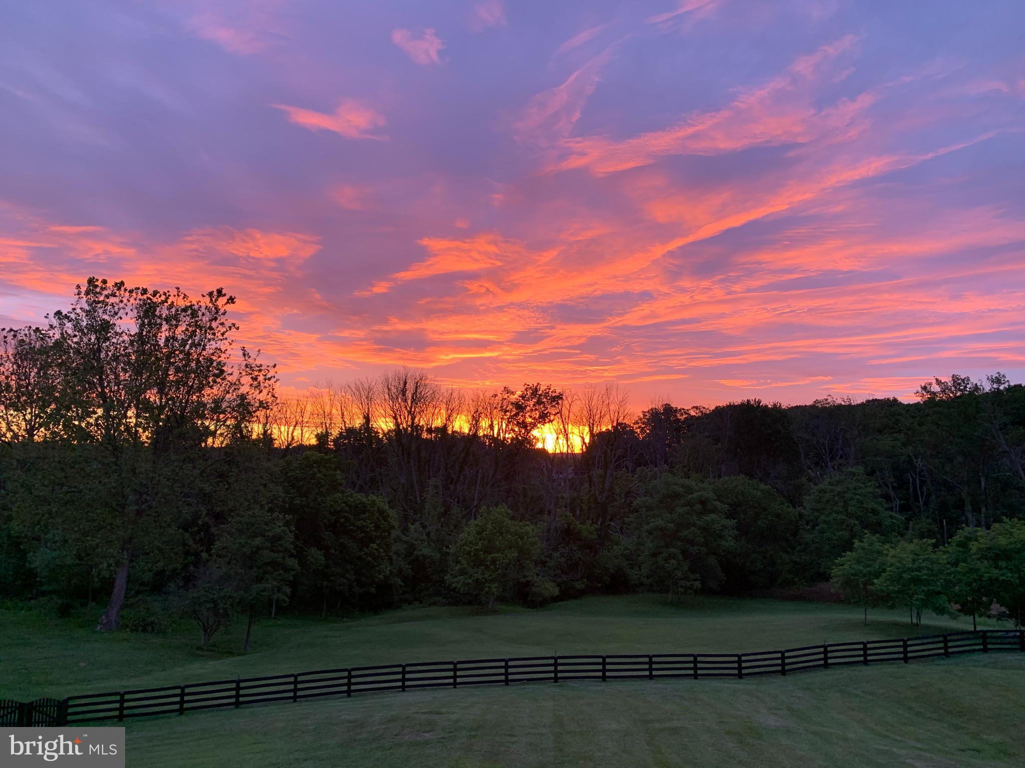 18604 Wild Raspberry Drive Purcellville, VA 20132 - Photo 41 of 44