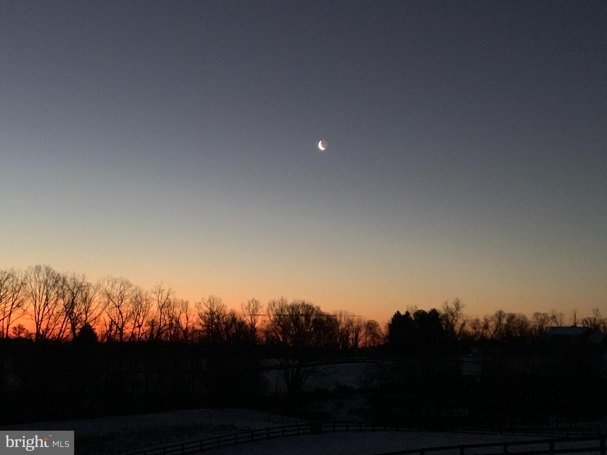 18604 Wild Raspberry Drive Purcellville, VA 20132 - Photo 42 of 44