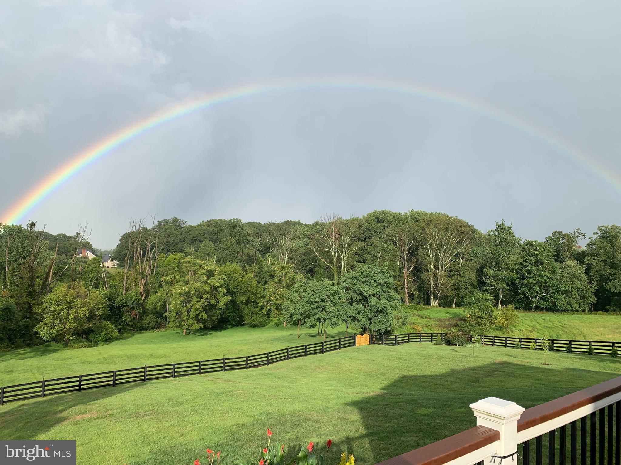 18604 Wild Raspberry Drive Purcellville, VA 20132 - Photo 43 of 44