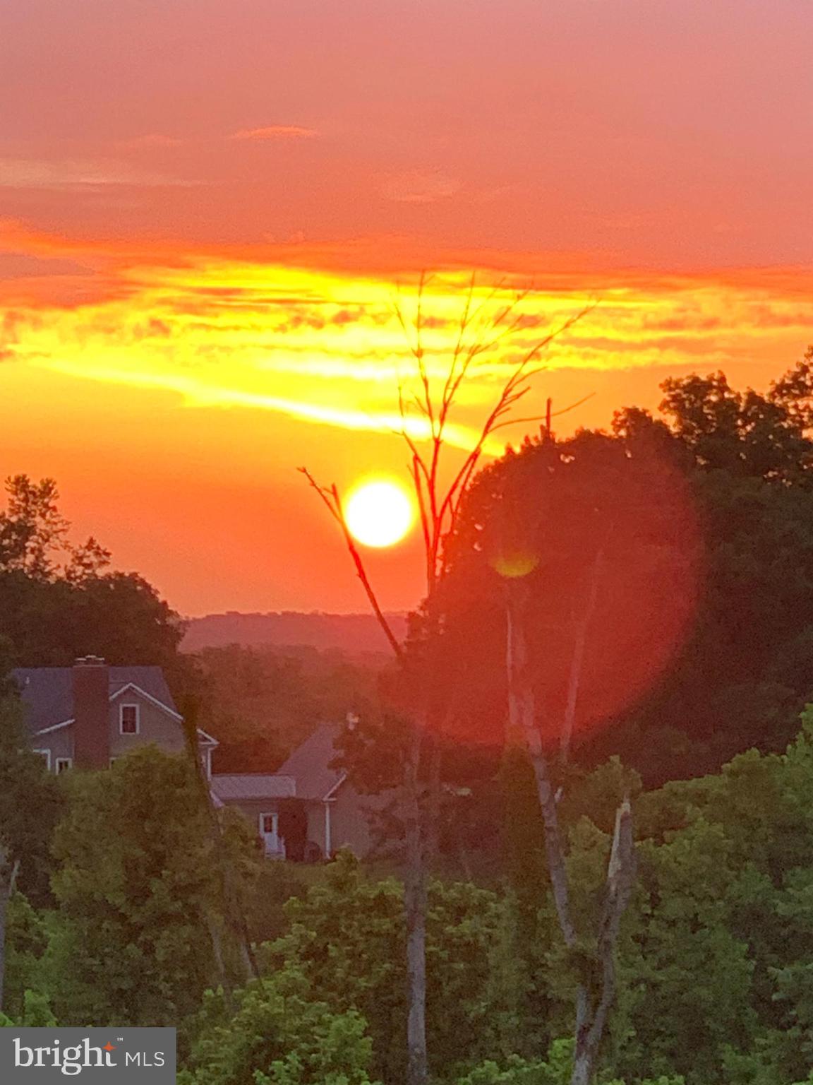18604 Wild Raspberry Drive Purcellville, VA 20132 - Photo 44 of 44