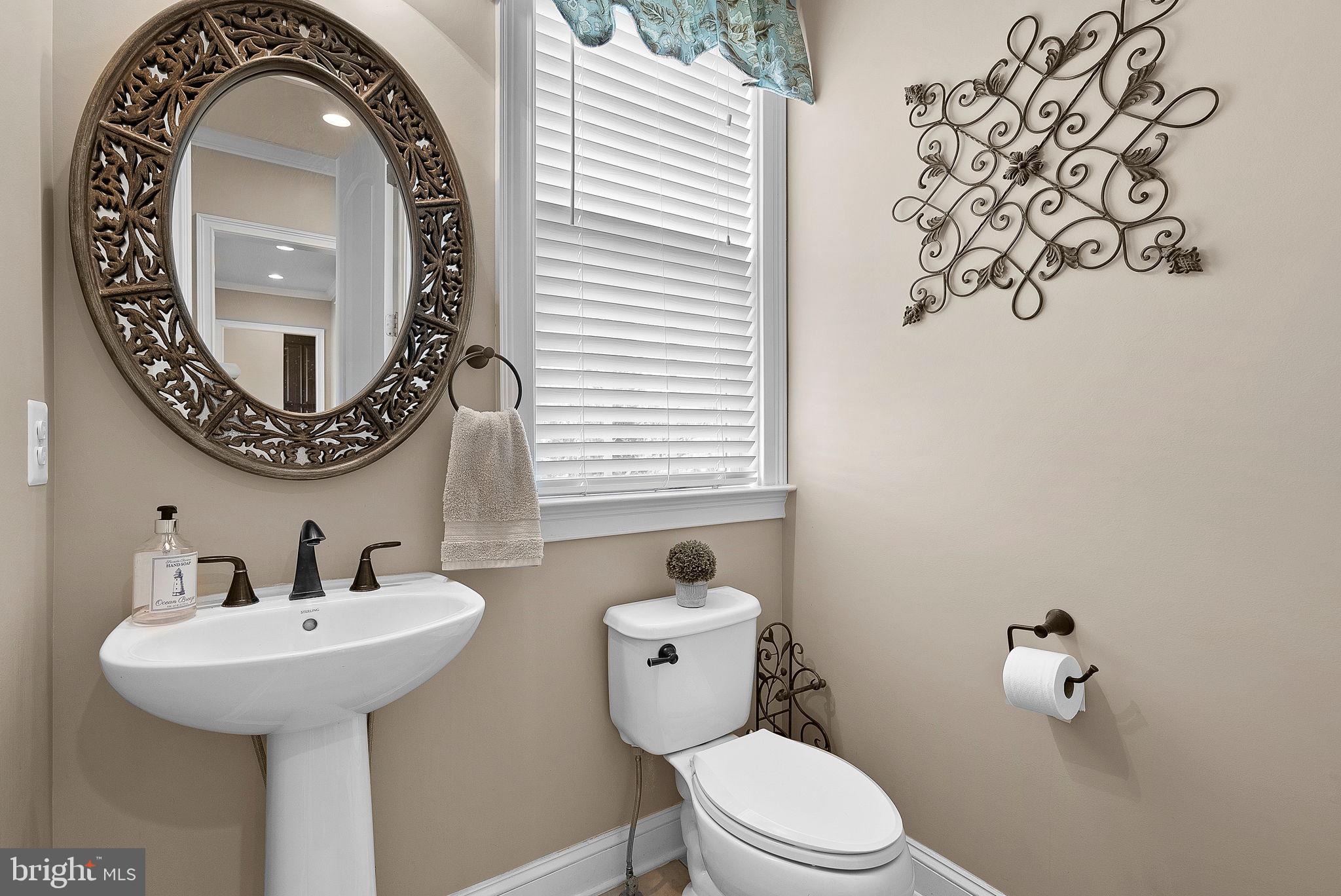 18604 Wild Raspberry Drive Purcellville, VA 20132 - Photo 10 of 44 Powder bath