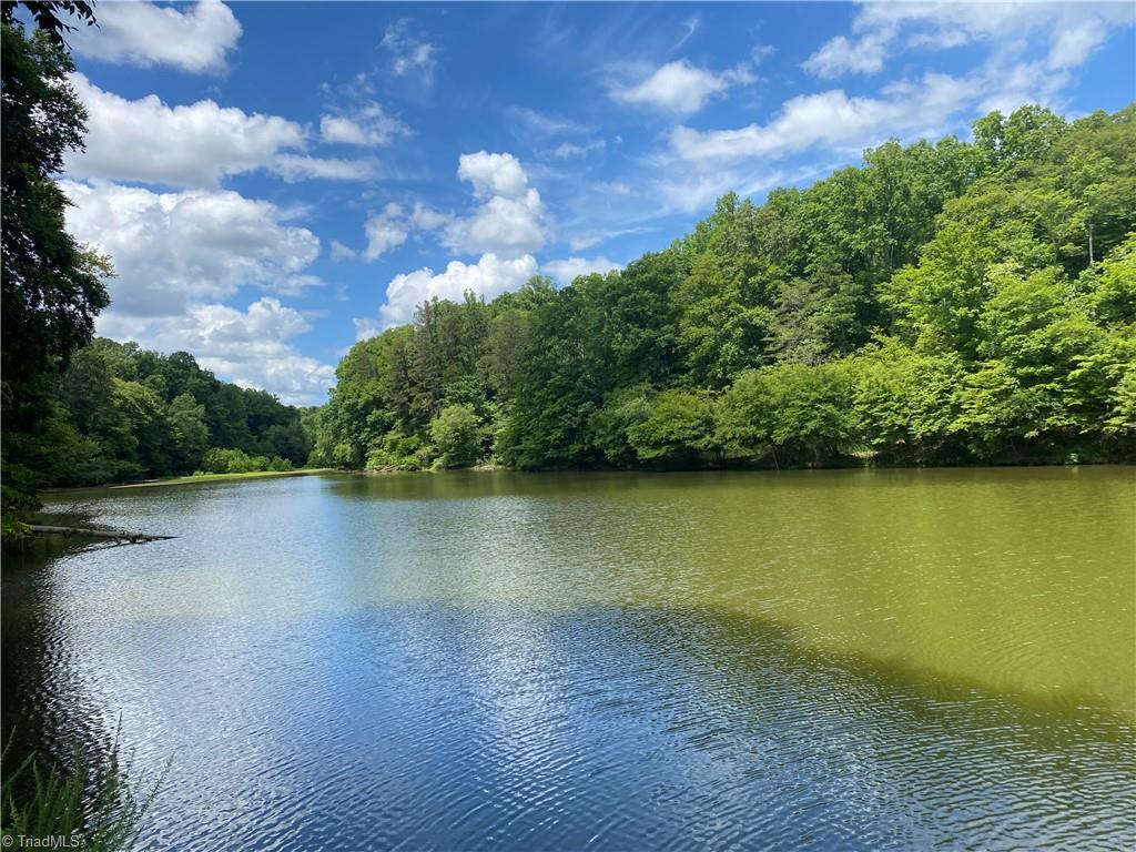 1340 Forge Mill Road King, NC 27021 - Photo 2 of 50