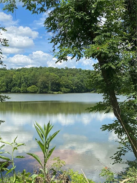1340 Forge Mill Road King, NC 27021 - Photo 5 of 50