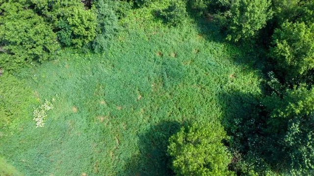 $50,000 | Tbd 169th Avenue Northeast, Andover, MN 55304