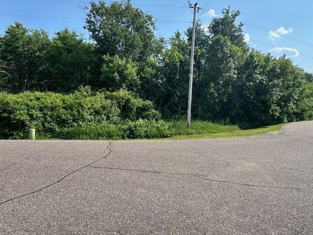 Tbd 169th Avenue Northeast Andover, MN 55304 - Photo 5 of 10