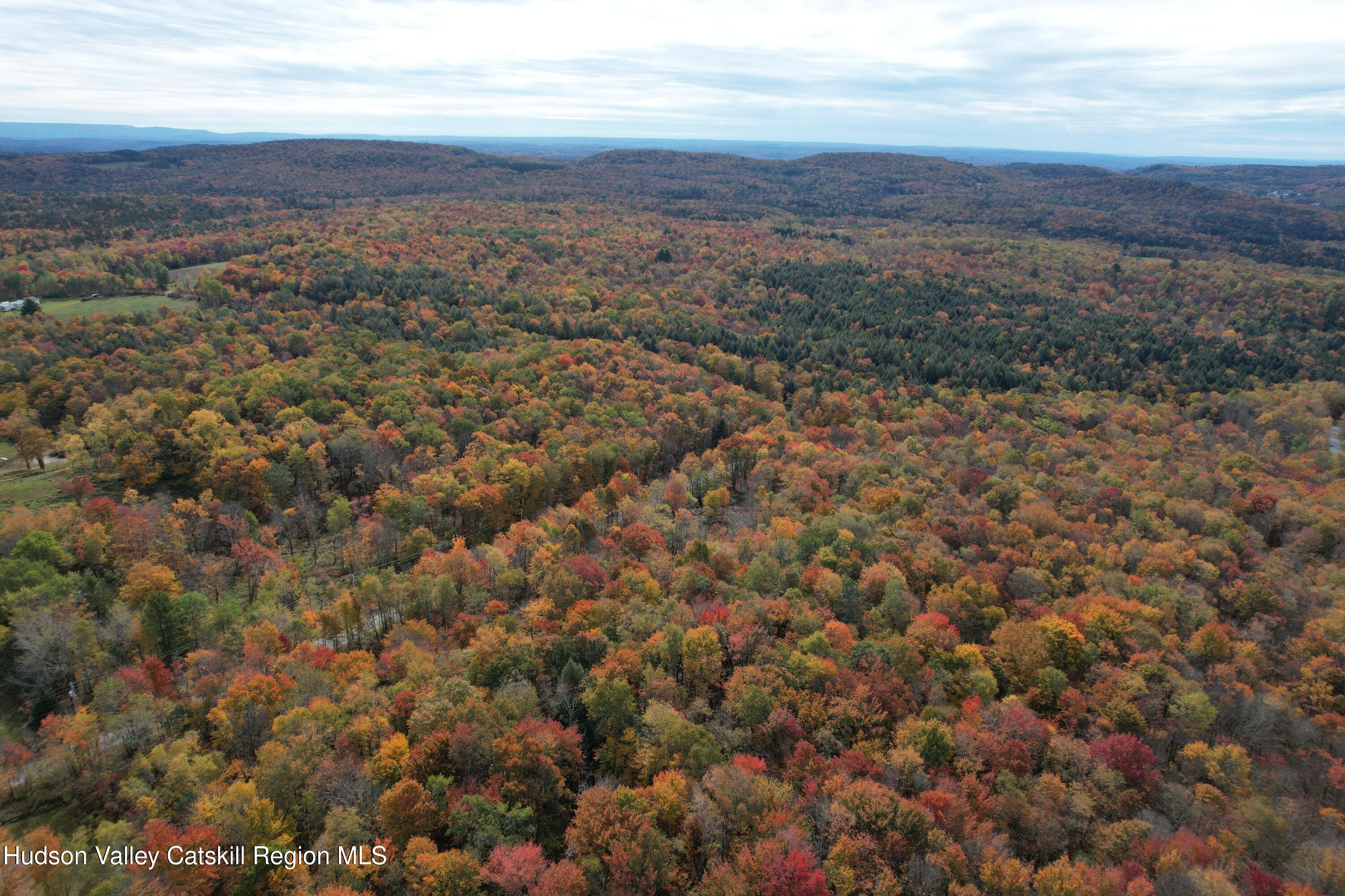 Tbd Anderson Road 1 Road Parksville, NY 12768 - Photo 21 of 27 DJI_0040