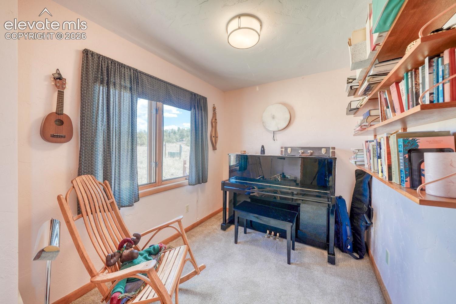 489 Excelsior Road Westcliffe, CO 81252 - Photo 15 of 34